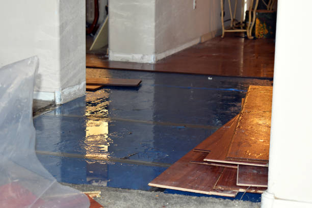 Professional Crawl Space Water Removal technician working in Greenville, RI